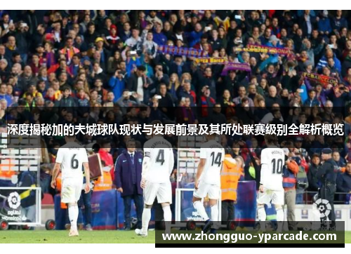 深度揭秘加的夫城球队现状与发展前景及其所处联赛级别全解析概览