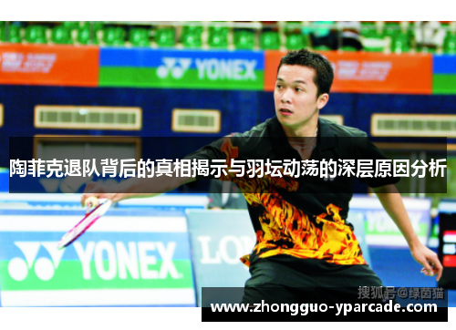 陶菲克退队背后的真相揭示与羽坛动荡的深层原因分析