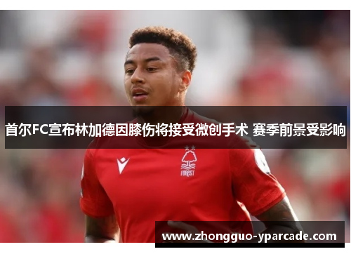 首尔FC宣布林加德因膝伤将接受微创手术 赛季前景受影响